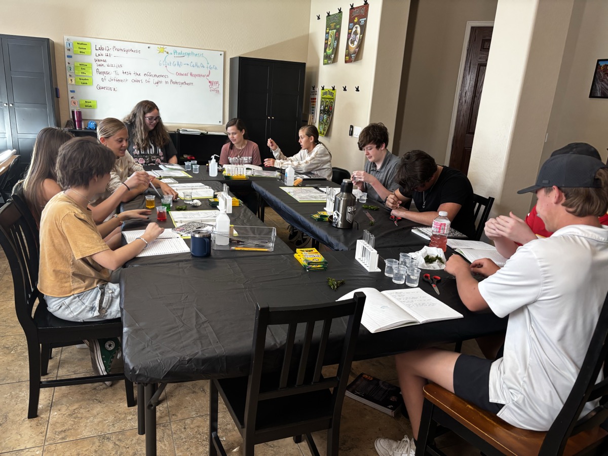 Desert Discovery Labs